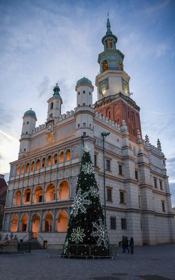 White building lit up interiorly with a Christmas tree in front